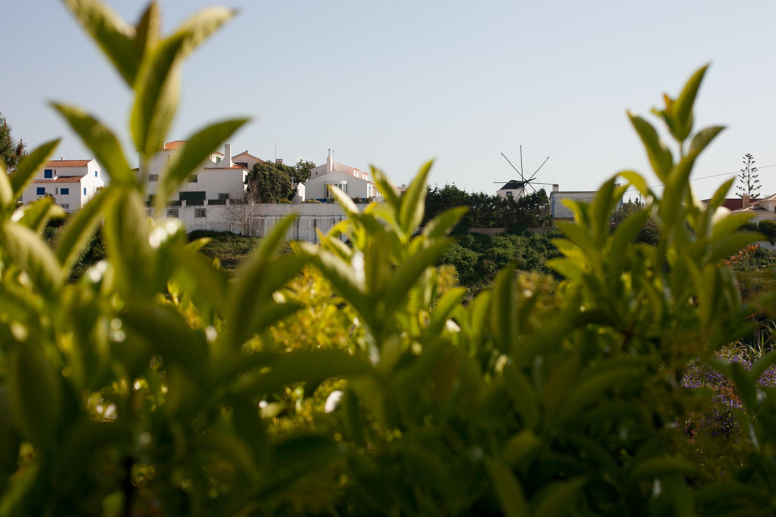 Ericeira Chill Hill Hostel & Private Rooms - Peach Garden Exterior foto